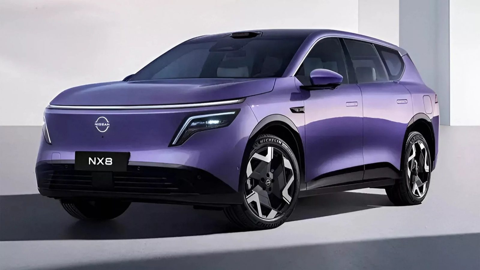 Nissan Dongfeng Nissan NX8 EV — фото модели