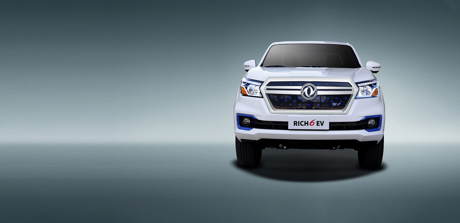 Zhengzhou Nissan Pickup Rich 6EV — фото модели